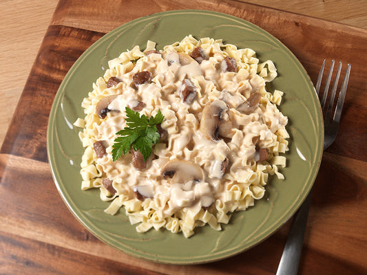 Mountain House Beef Stroganoff